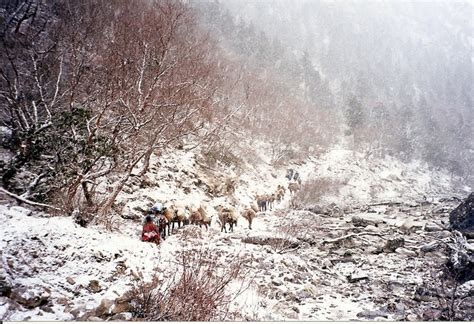 Trekking in Bhutan | Trekking, Outdoor, Places