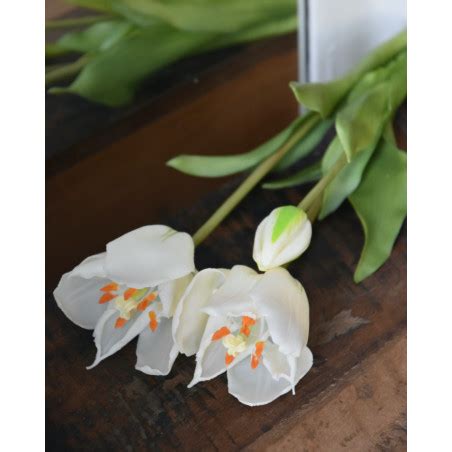 Real Touch Tulpen Open Wit Bos Van 3 Stuks Waarvan Twee Open Tulpen En