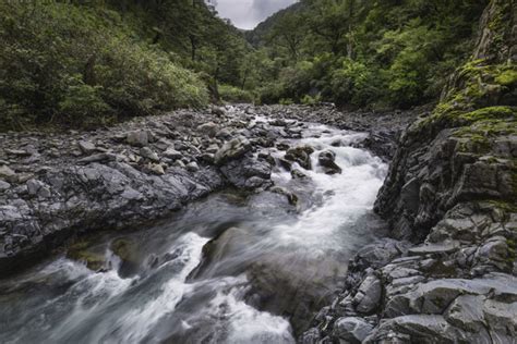 Brena Smith / Images / Waipawa River Downstream