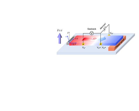 How Does Nernst Effect Probe Strange Metals Physics Community