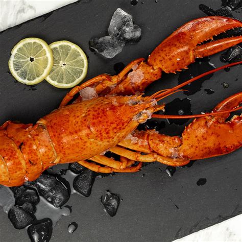 Whole Maine Lobster – Pure Food Fish Market