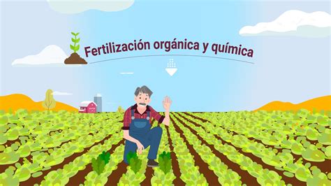 Fertilizaci N Org Nica Y Qu Mica Youtube