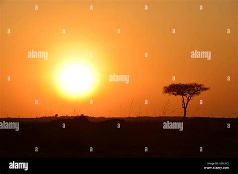 Masai Mara Sunrise Stock Photo - Alamy