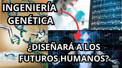 IngenierÍa GenÉtica 🧬 Diseñando El Futuro De La Humanidad 🌍 Avances Y