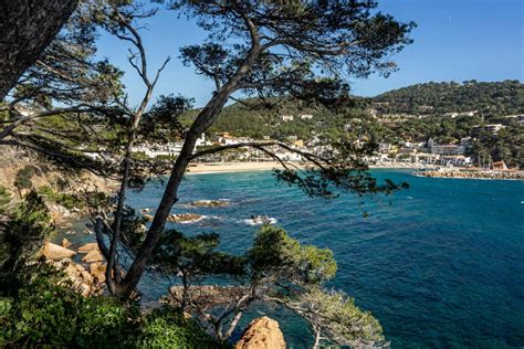 Cursos De Cocina Catalana En Cadaqu S Descubre La Esencia Gastron Mica