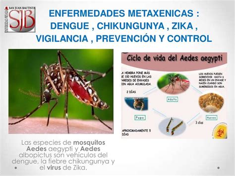 Dengue Zika y CH Salud Pediatría uDocz