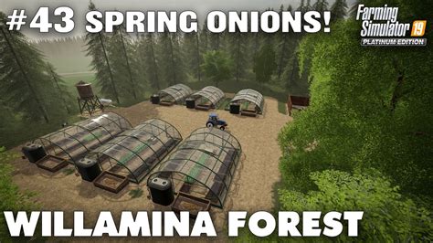 Willamina Forest Building Onion Greenhouses Farming Simulator