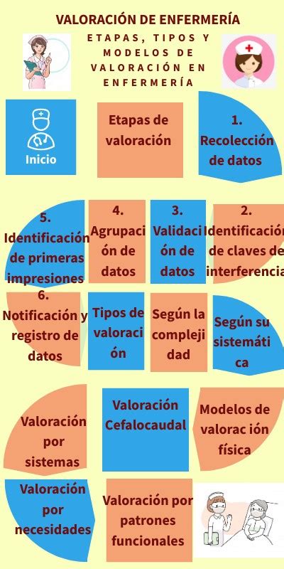 Etapas tipos y modelos de valoración