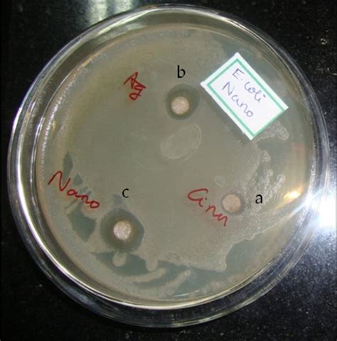 The Antibacterial Effect Of Cinnamon Bark Extracts A Silver Nitrate