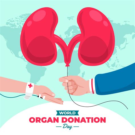 House Organ Donation Episode At Richard Clayton Blog