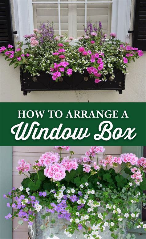 How To Arrange A Window Box Window Box Flowers Window Box Plants