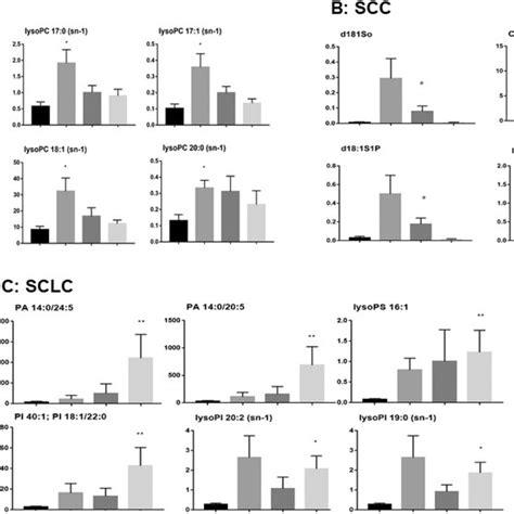 Top Six Significantly Increased Lipid Elements In Patients With Adc