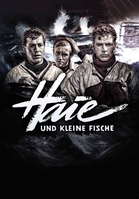 Haie Und Kleine Fische Stream Jetzt Film Online Anschauen