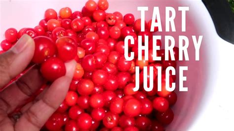 How I Make My Own Tart Cherry Juice Healthy Juicing Youtube