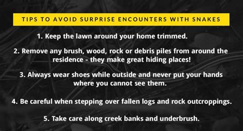 Snakes Safety Tips To Remember The Woodlands Township Environmental