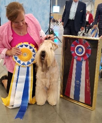 Lawton Dog Fanciers Association Saturday July 3 2021 Canine Chronicle