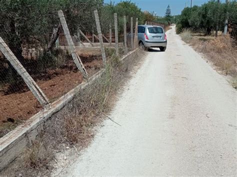 Terreno Agricolo Contrada Bordea Sciacca Rif 105957707 Immobiliare It