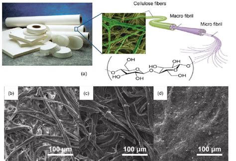 (Color online) Structure and morphologies of cellulose paper and ...