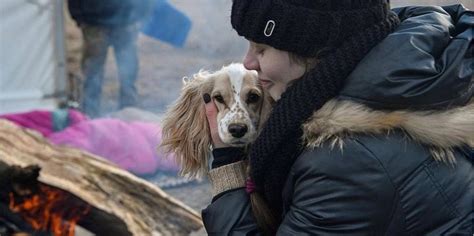 Притулки що потребують допомоги — як врятувати тварин під час війни в