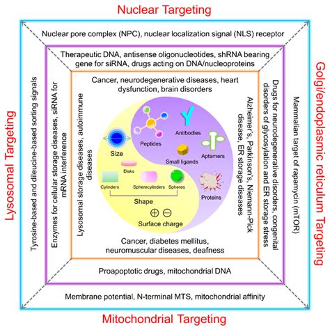 材料学院周绍兵教授团队在权威期刊progress In Materials Science发表综述论文 材料先进技术教育部重点实验室