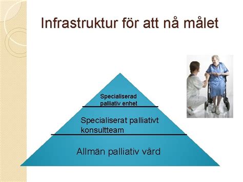 Nationellt Vrdprogram Och Riktlinjer Fr Palliativ Vrd Fr