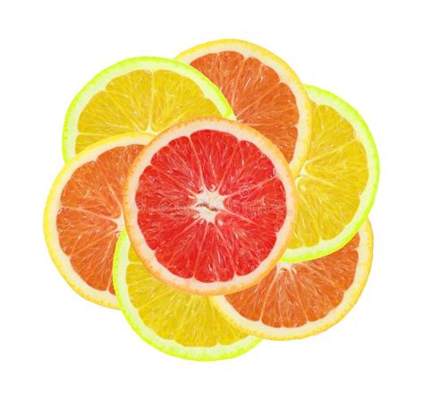 Stack Of Citrus Fruit Slices Stock Image Image Of Citrus Round