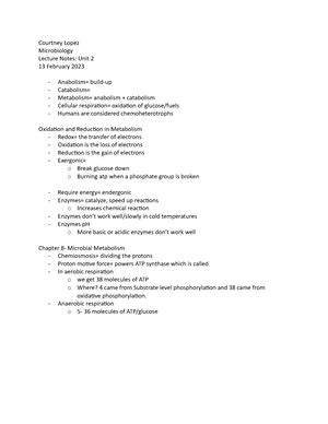 Chapter 12 Drugs Microbes Host The Elements Of Chemotherapy