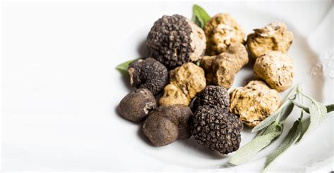 Délices de Truffes la truffe dans tous ses états