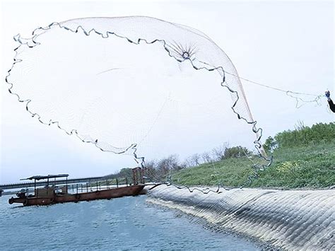 Los Mejores Redes De Pesca Para Lanzar En 2025