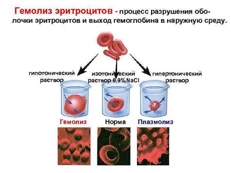 Кровь Кровь коллоидный раствор плазма