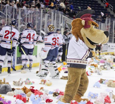 Teddy Bear Toss Lanzamiento De Ositos De Peluche 2024 En Portland