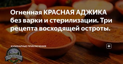 Огненная КРАСНАЯ АДЖИКА без варки и стерилизации. Три рецепта ...