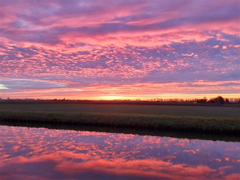 Kijken Prachtige Plaatjes Van Westland Door Jullie Zelf Gemaakt