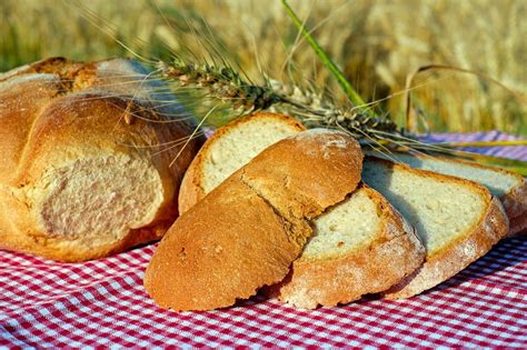 Il Vescovado Guida Pane E Panettieri DItalia 2024 Di Gambero Rosso