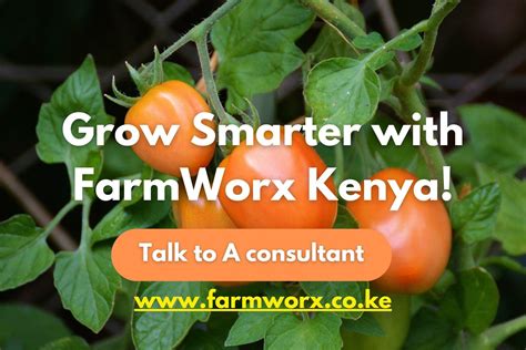 Grow Smarter With Farmworx Kenya Farmworx Kenya Agricultural