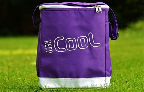 6 Things To Keep In Mind When Shopping For Modern Cooler Bags