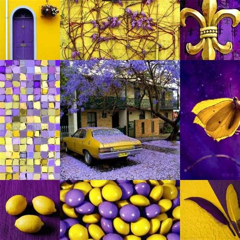 Purple and Yellow Aesthetic Collage