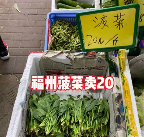 1斤菠菜＝3斤猪肉，一根1块钱，网友调侃：吃麻辣烫都不敢拿菠菜了东方养生频道东方养生