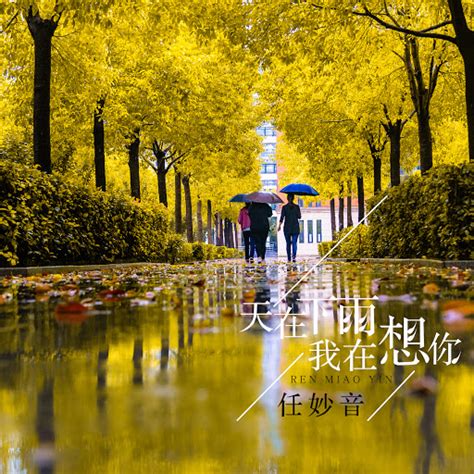 天在下雨我在想你 Youtube Music