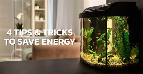 4 Tips On How To Save Electricity On Your Aquarium • Think Smart Think