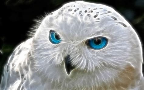 Snowy Owl Wallpapers - Wallpaper Cave