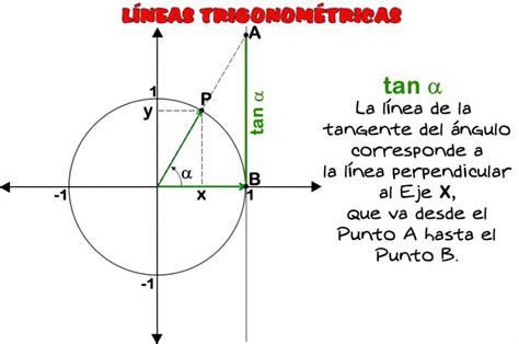 Presentación LÍneas TrigonomÉtricas 10º Secundaria Trigonometría