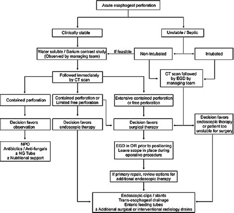 Algorithm for diagnosis and management of acute esophageal perforation ...