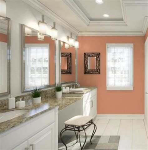 HGTV HOME By SHERWIN WILLIAMS PERSIMMON 2024 Color Of The Year Kylie