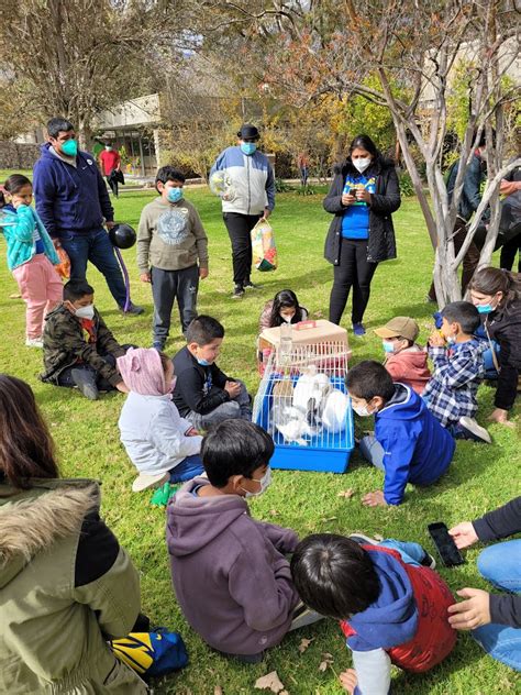 Coquimbo Se Prepara Para Vivir La Fiesta Del Patrimonio Con M S De