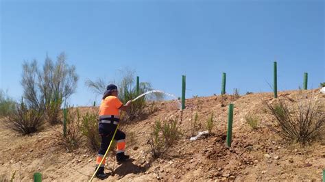 Riegos De La Nueva Zona Forestal Del Sector Xxiii Ayuntamiento De