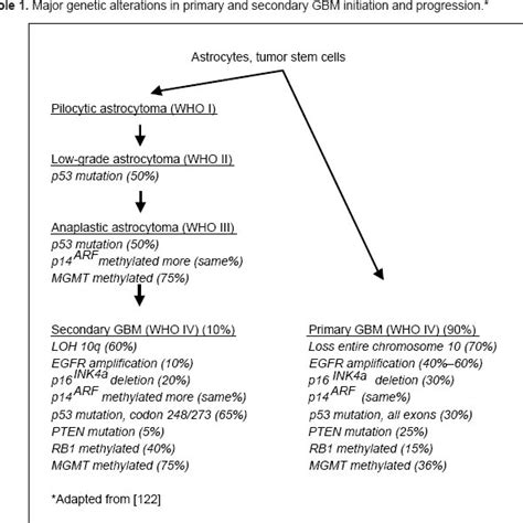 Major Genetic Alterations In Primary And Secondary Gbm Initiation And Download Scientific