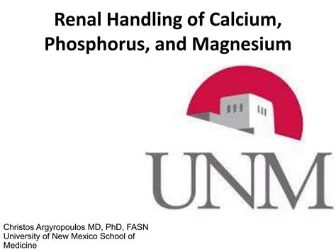 Renal Handling Of Calcium Phosphorus And Magnesium Ppt