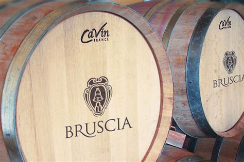 Cantina Bruscia Vini Bio Nelle Marche Vino Biologico Marche