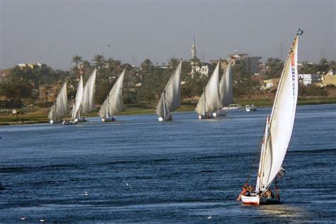 Alexandria Full Day Tour From Alexandria Port From Alexandria Port